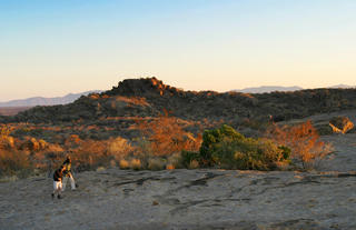 Erongo Wilderness Lodge - Activities 